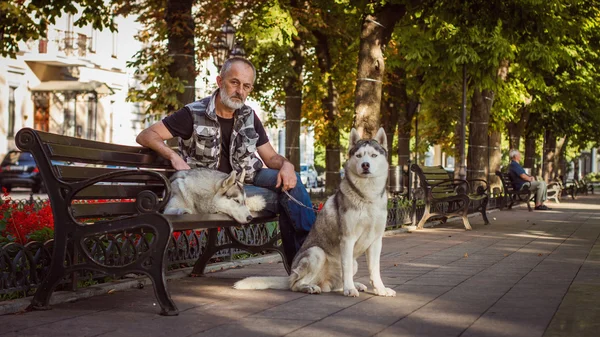 Viejo sentado en un banco. El barbudo. Paseando al perro. El perro se sienta al lado de su amo. Husky siberiano . —  Fotos de Stock