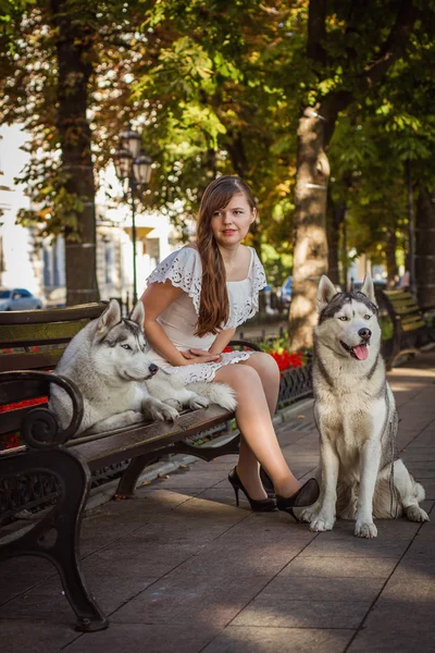 Девушка идет по улице с двумя собаками. Девушка в белом платье. Сибирские хаски . — стоковое фото
