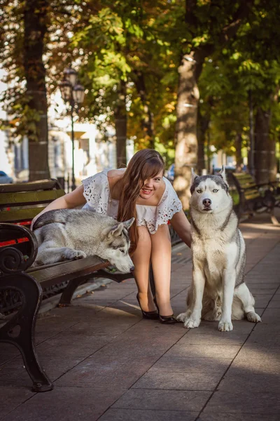 Chica caminando por la calle con dos perros. Una chica con un vestido blanco. Huskies siberianos . —  Fotos de Stock