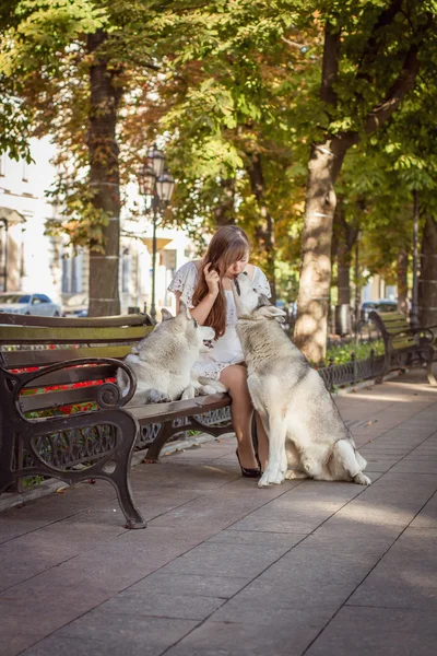 Mädchen, das mit zwei Hunden auf der Straße spazieren geht. ein Mädchen in einem weißen Kleid. Sibirische Huskies. — Stockfoto