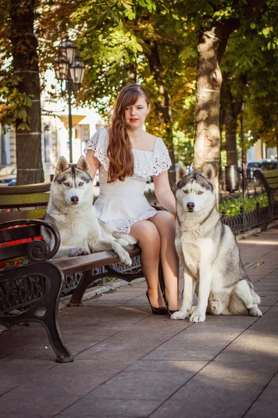 Mädchen, das mit zwei Hunden auf der Straße spazieren geht. ein Mädchen in einem weißen Kleid. Sibirische Huskies. — Stockfoto