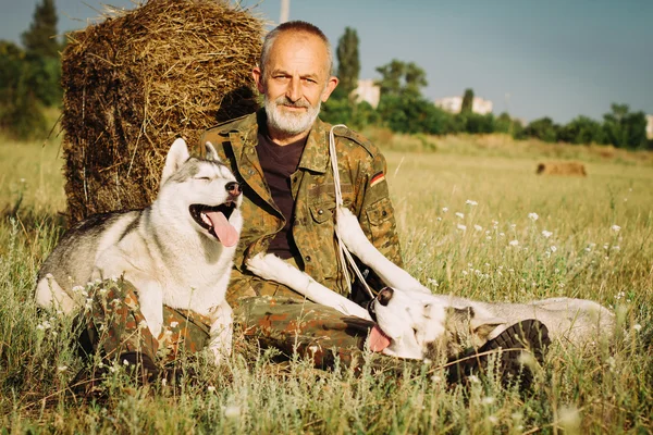 Öreg ember ül a kutyák, szénakazalban szakáll élvezi nyári naplementét. Szibériai Husky-vidéken. — Stock Fotó