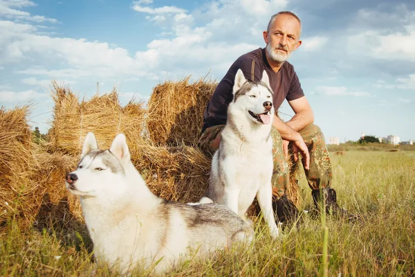 Viejo con barba sentado en un pajar con sus perros, disfrutando del atardecer de verano. Husky siberiano en el campo . — Foto de Stock