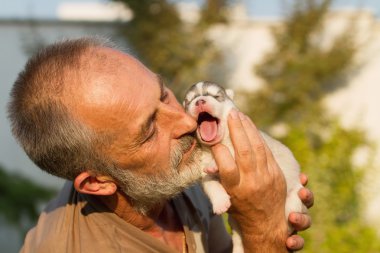 Yaşlı adam yeni doğmuş bir yavru köpek Huskies öper..