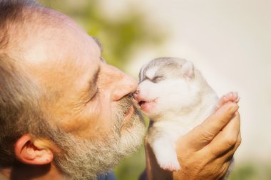 Yaşlı adam yeni doğmuş bir yavru köpek Huskies öper..