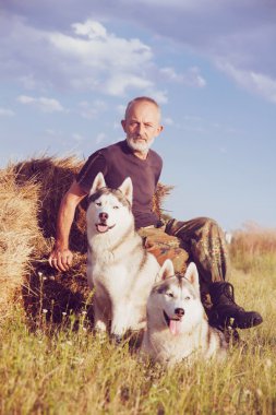 İhtiyar bir haystack onların köpekleri ile oturan sakallı yaz günbatımı keyfi.