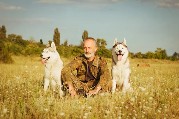 İhtiyar bir haystack onların köpekleri ile oturan sakallı yaz günbatımı keyfi.