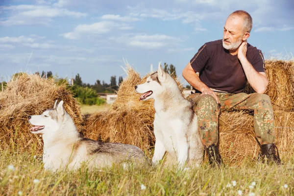 Homem velho com uma barba sentada em um palheiro com seus cães, desfrutando do pôr do sol de verão . — Fotografia de Stock