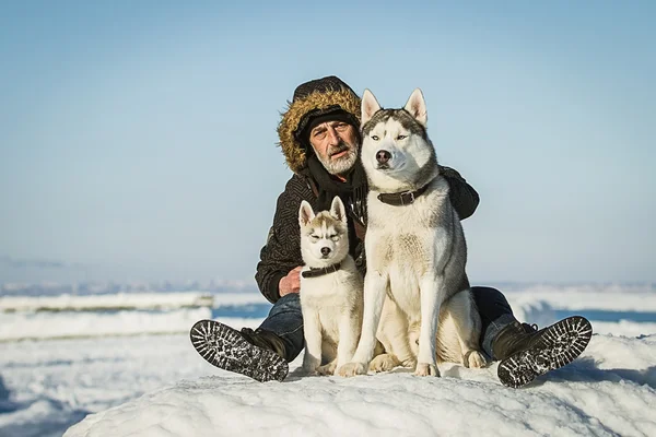 El Viejo y los perros de trineo en un témpano de hielo . — Foto de Stock