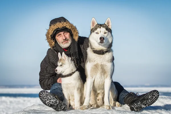 Yaşlı adam ve kızak köpekleri bir buz parçası üzerinde. — Stok fotoğraf