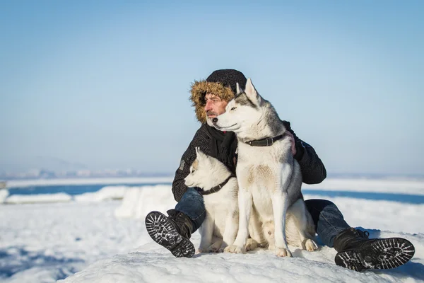 El Viejo y los perros de trineo en un témpano de hielo . — Foto de Stock