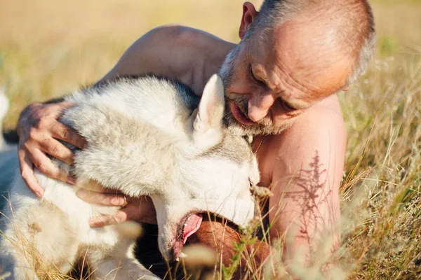 늙은 남자가 그의 강아지 시베리안 허스키와 함께 재생합니다. 생활양식입니다. 레저. — 스톡 사진