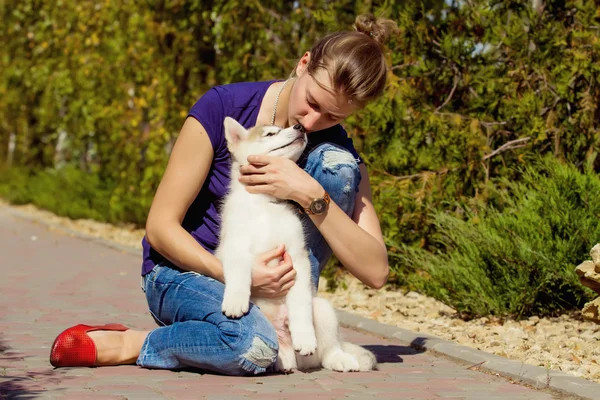 Young girl playing with a dog. Puppy Siberian Husky. — Stock Photo, Image