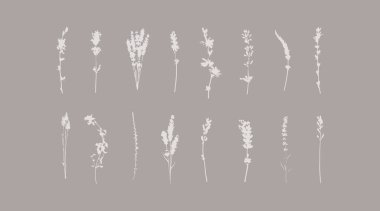 Botanik çiçekleri sanat eserleri. Çiçekli siluet çizimleri. Doğanın toplanması simge şekilleri bırakır.