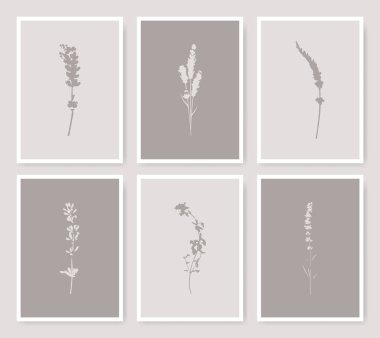 Botanik çiçekleri resim baskısı kartları. Çiçekli siluet çizimleri. Doğa yapraklarının toplanması şekilleri.