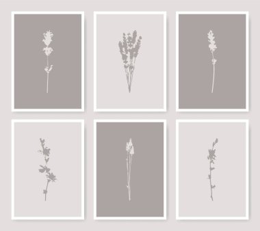 Botanik çiçekleri resim baskısı kartları. Çiçekli siluet çizimleri. Doğa yapraklarının toplanması şekilleri.