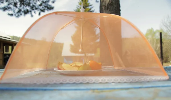 meyveler için sivrisinek perde