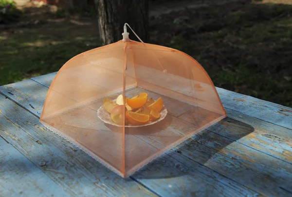 meyveler için sivrisinek perde