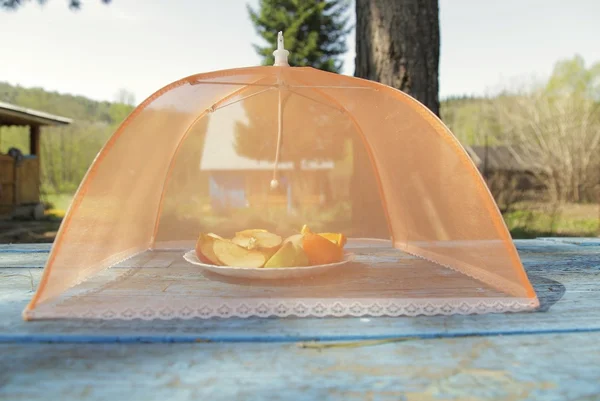 meyveler için sivrisinek perde