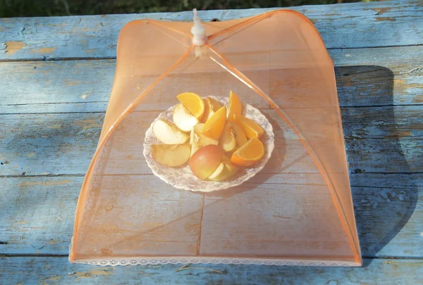 meyveler için sivrisinek perde