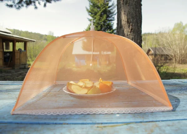 meyveler için sivrisinek perde