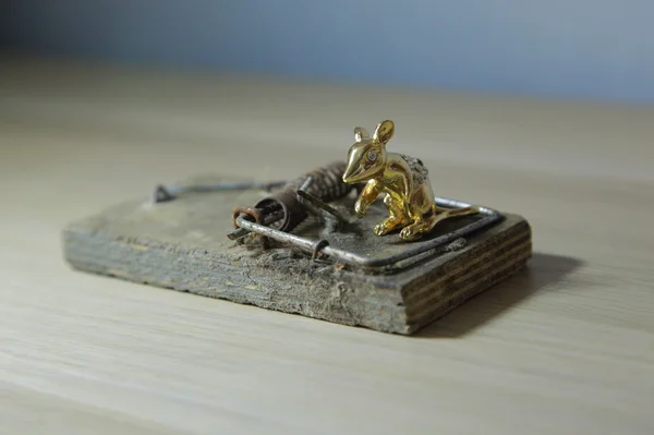 Altın fare ve fare kapanı