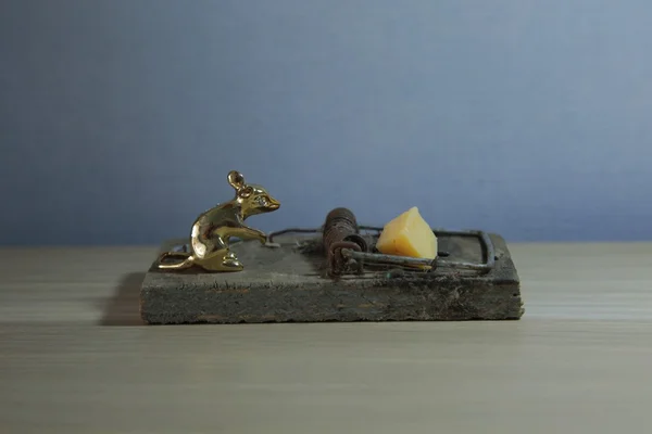 Altın fare ve fare kapanı