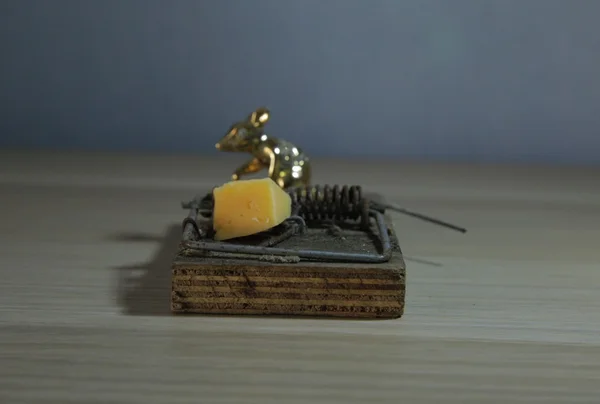 Altın fare ve fare kapanı