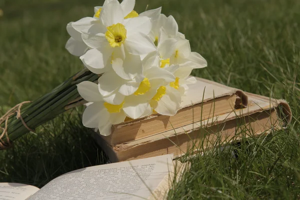 Nergis ve çimenlerin üzerine bir kitap