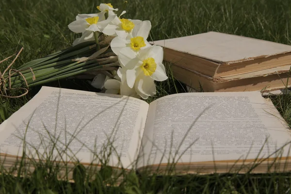 Nergis ve çimenlerin üzerine bir kitap