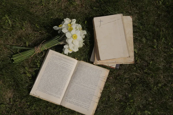 Nergis ve çimenlerin üzerine bir kitap