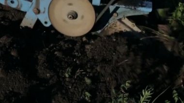 bir köyde yürüyüş arka plan traktör