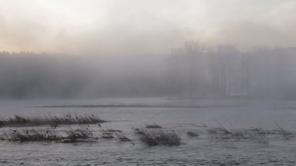 Die Morgendämmerung am Fluss mit Nebel — Stockvideo