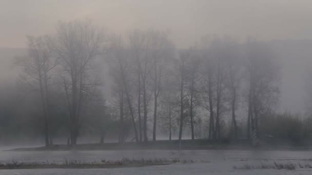 El amanecer en el río con niebla — Vídeo de stock