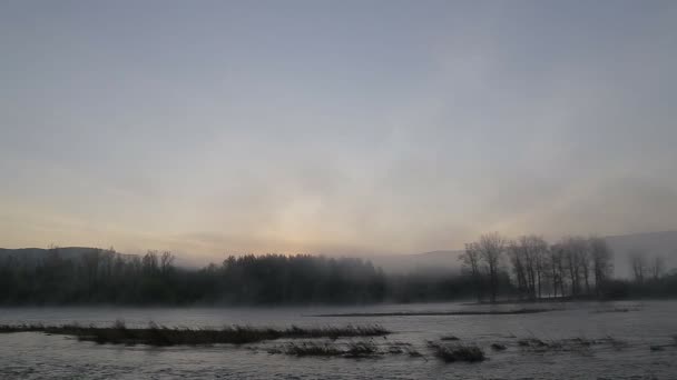 Die Morgendämmerung am Fluss mit Nebel — Stockvideo