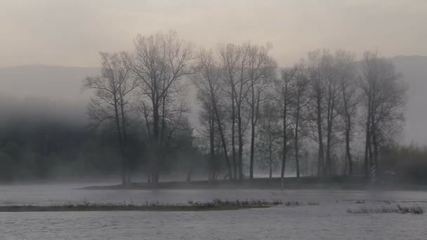 Svítání na řece s mlhou — Stock video