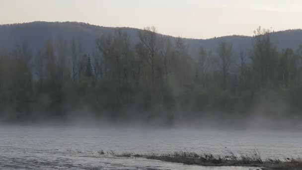 Die Morgendämmerung am Fluss mit Nebel — Stockvideo