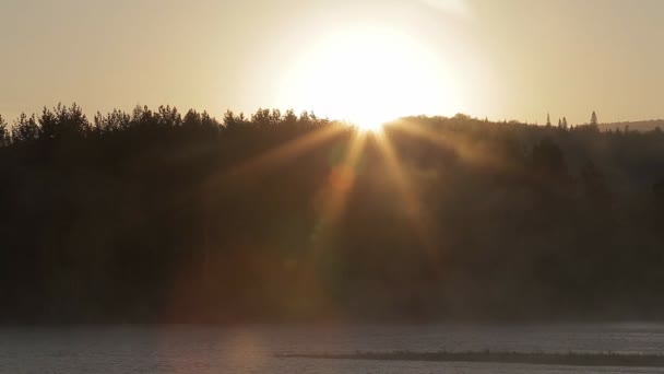 Die Morgendämmerung am Fluss mit Nebel — Stockvideo