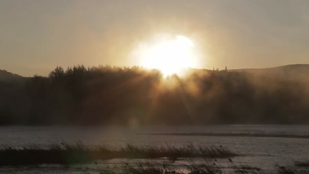 L'alba sul fiume con nebbia — Video Stock