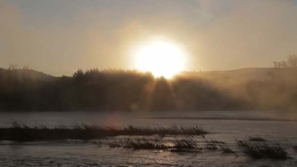 Την αυγή στις όχθες του ποταμού με ομίχλη — Αρχείο Βίντεο