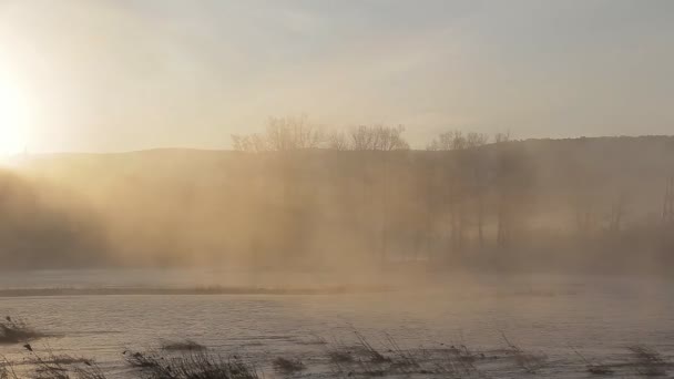 Die Morgendämmerung am Fluss mit Nebel — Stockvideo