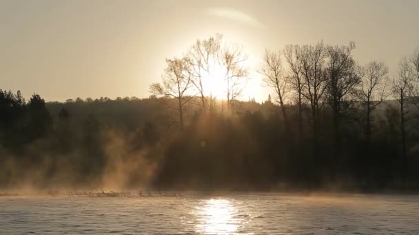 El amanecer en el río con niebla — Vídeos de Stock