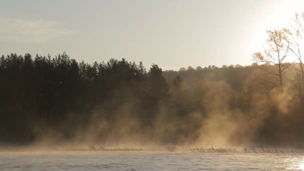 Την αυγή στις όχθες του ποταμού με ομίχλη — Αρχείο Βίντεο