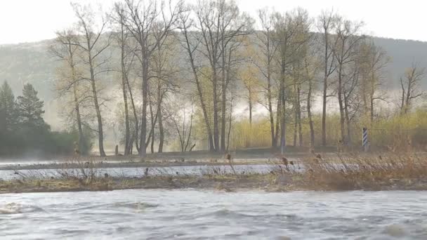 Die Morgendämmerung am Fluss mit Nebel — Stockvideo