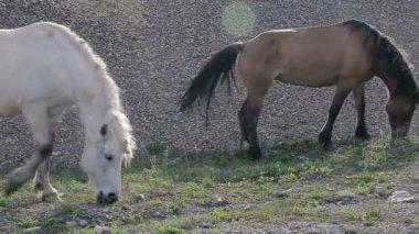 atları köyü de yol