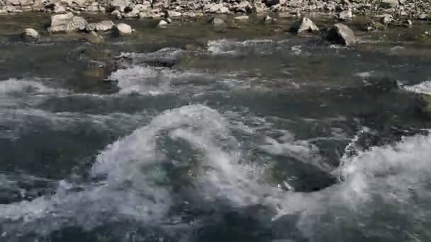 A kis hegyi folyó — Stock videók