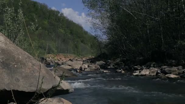 Маленької гірської річки — стокове відео