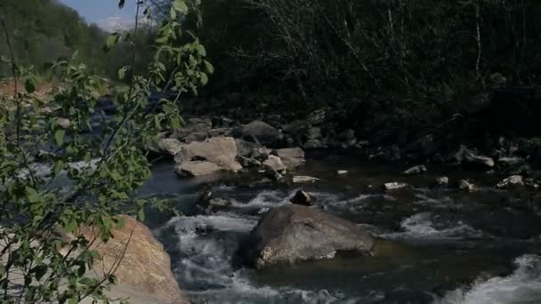 A kis hegyi folyó — Stock videók