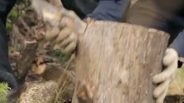 Chop fa láncfűrész — Stock videók