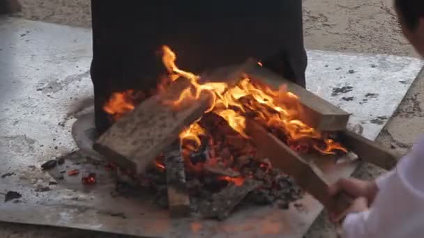 Palivové dříví pro kotel na venku — Stock video